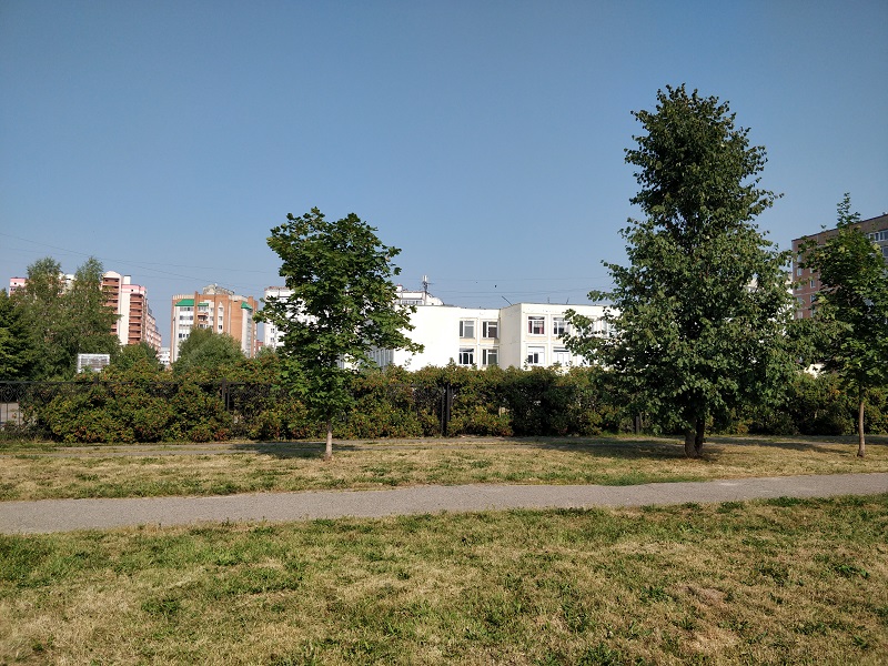 Вид на школу с улицы Городецкой Вид на школу с улицы Городецкой